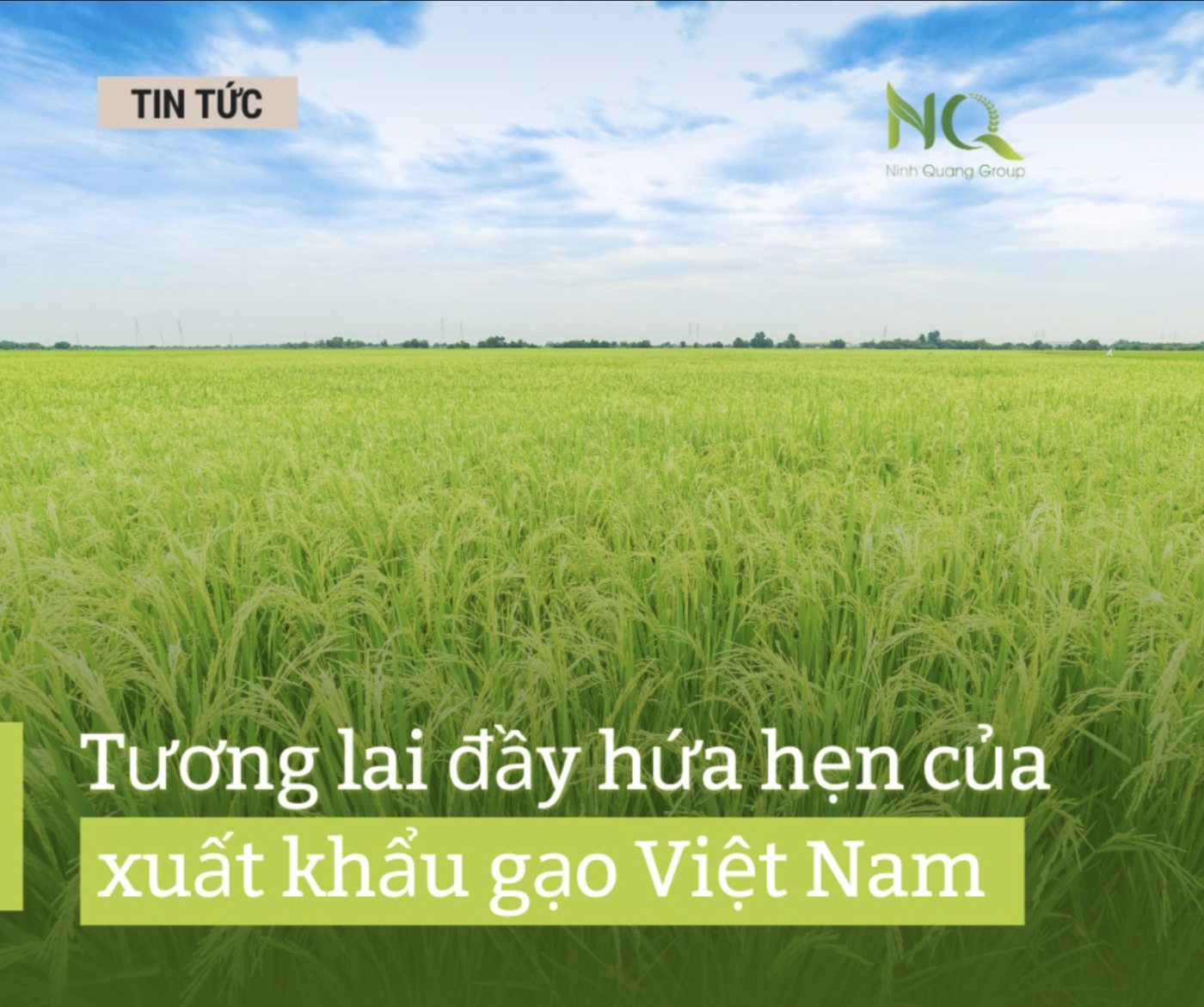 XUẤT KHẨU GẠO CỦA VIỆT NAM TĂNG MẠNH NHƯNG NHẬP KHẨU CŨNG TĂNG