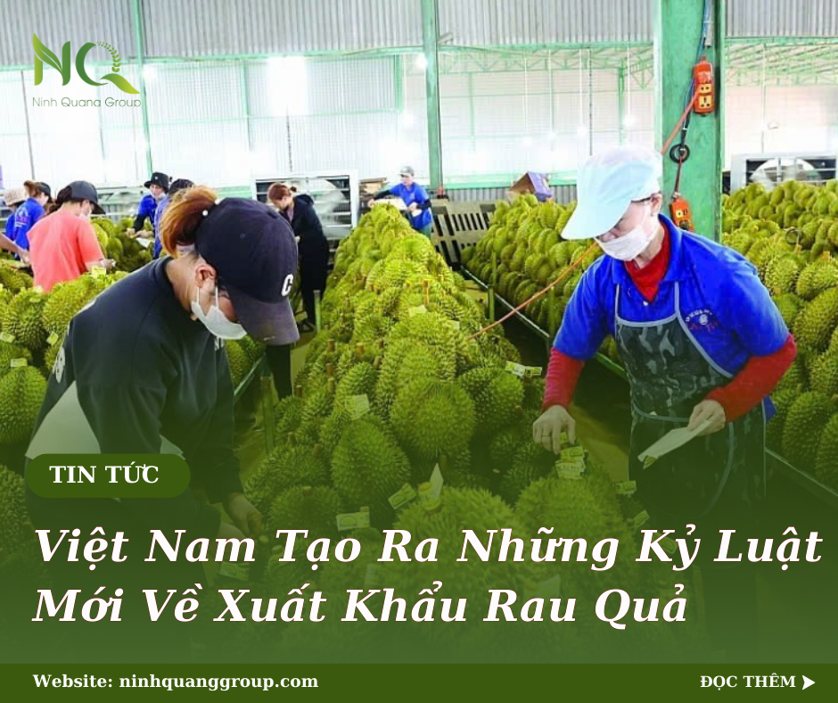 VIỆT NAM TẠO RA NHỮNG KỶ LỤC MỚI VỀ XUẤT KHẨU RAU QUẢ