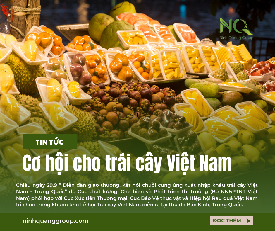 CƠ HỘI CHO TRÁI CÂY VIỆT NAM