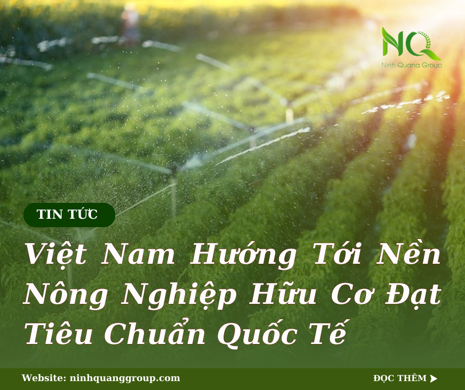 VIỆT NAM HƯỚNG TỚI NỀN NÔNG NGHIỆP HỮU CƠ ĐẠT TIÊU CHUẨN QUỐC TẾ