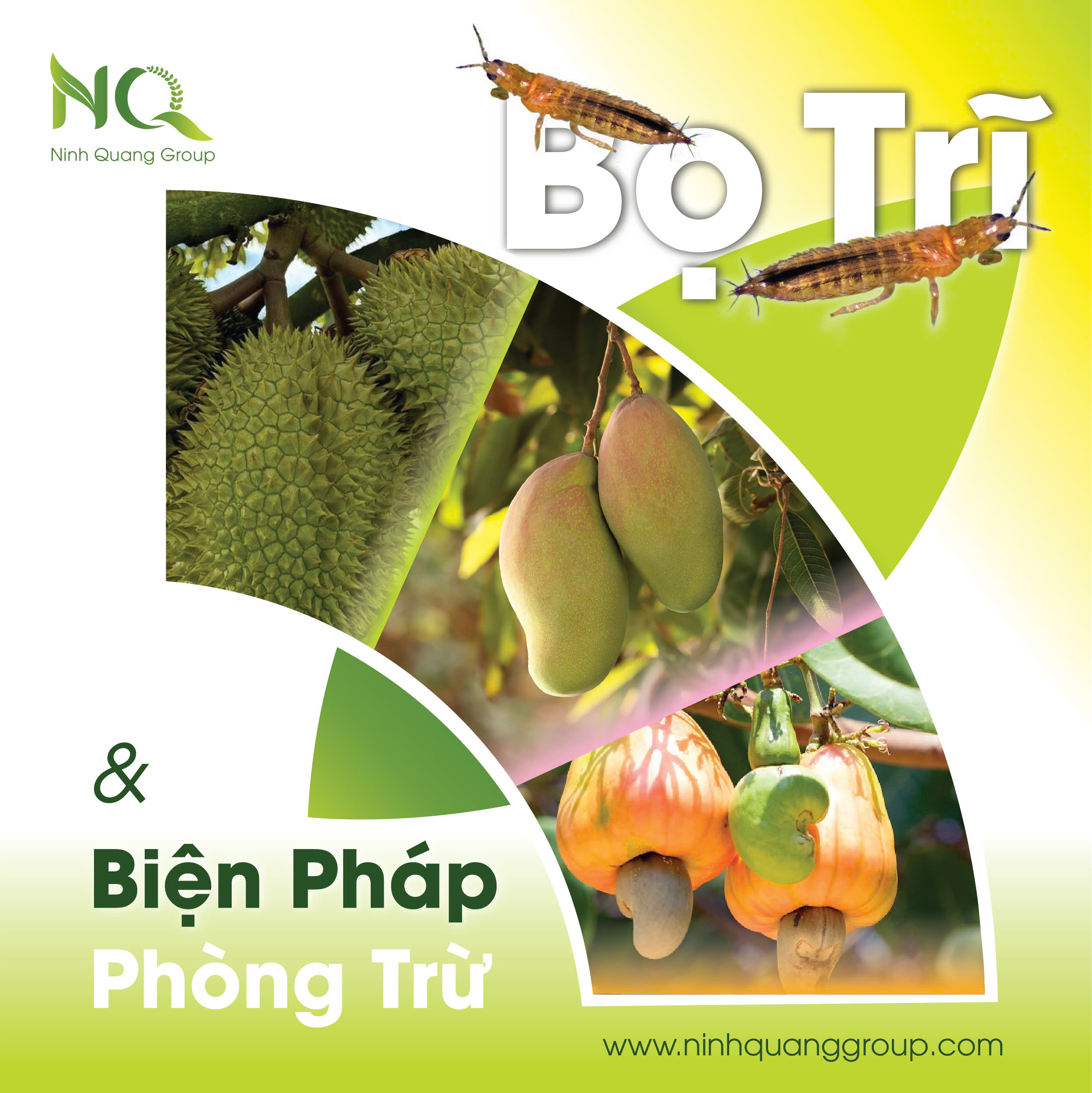 BỌ TRĨ VÀ BIỆN PHÁP PHÒNG TRỪ